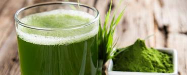 Spirulina - what is it and what are its properties?