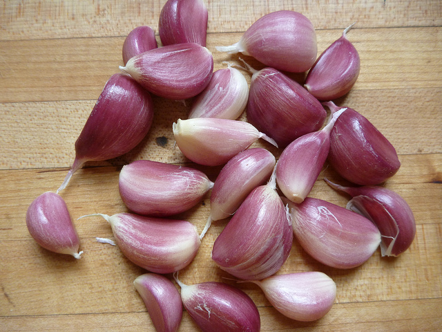 Why does pickling turn blue garlic?