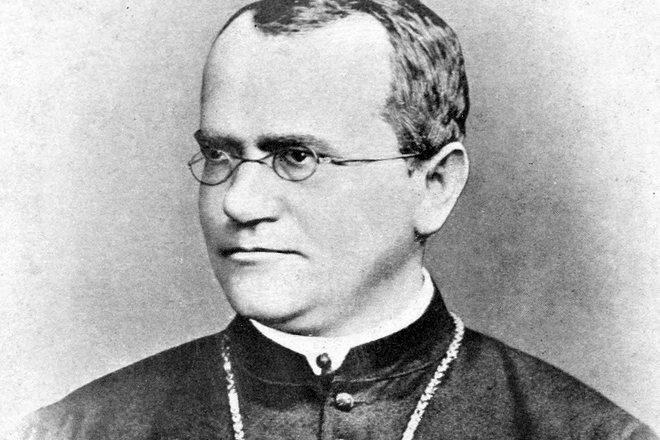 Scientific activity of Gregor Mendel